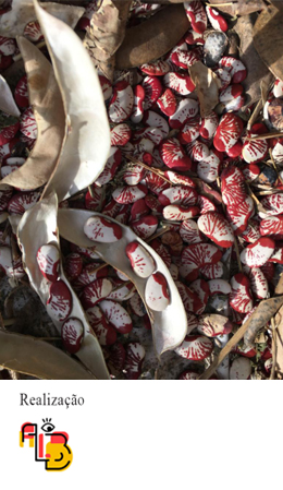 					Visualizar v. 16 n. 48 (2022)
				